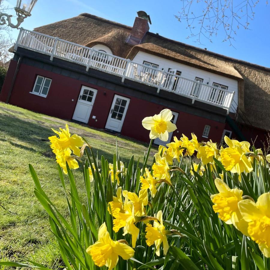 Appartamento Alte Schule Spo Sankt Peter-Ording Esterno foto