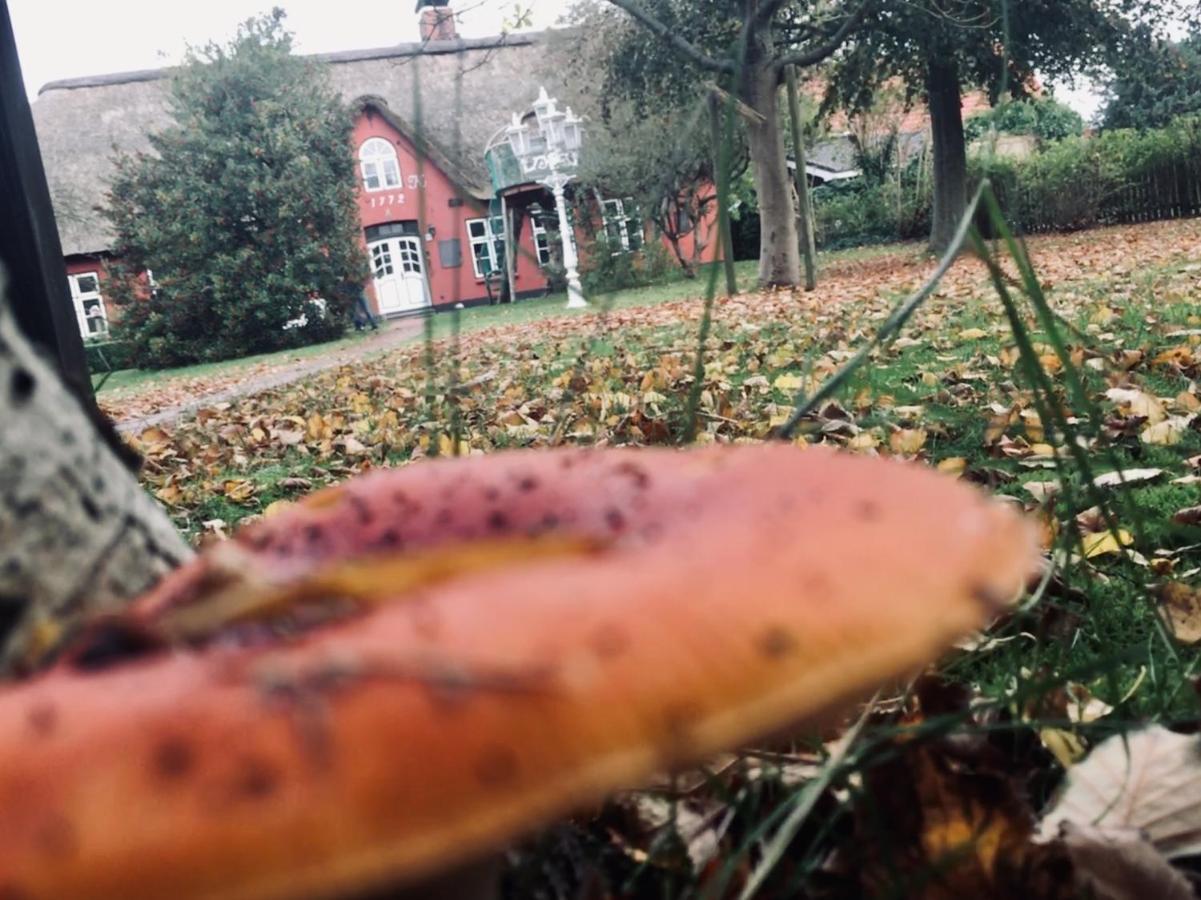 Appartamento Alte Schule Spo Sankt Peter-Ording Esterno foto